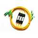 plc splitter